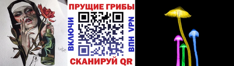 Галлюциногенные грибы Cubensis  Купить закладки  Междуреченск 
